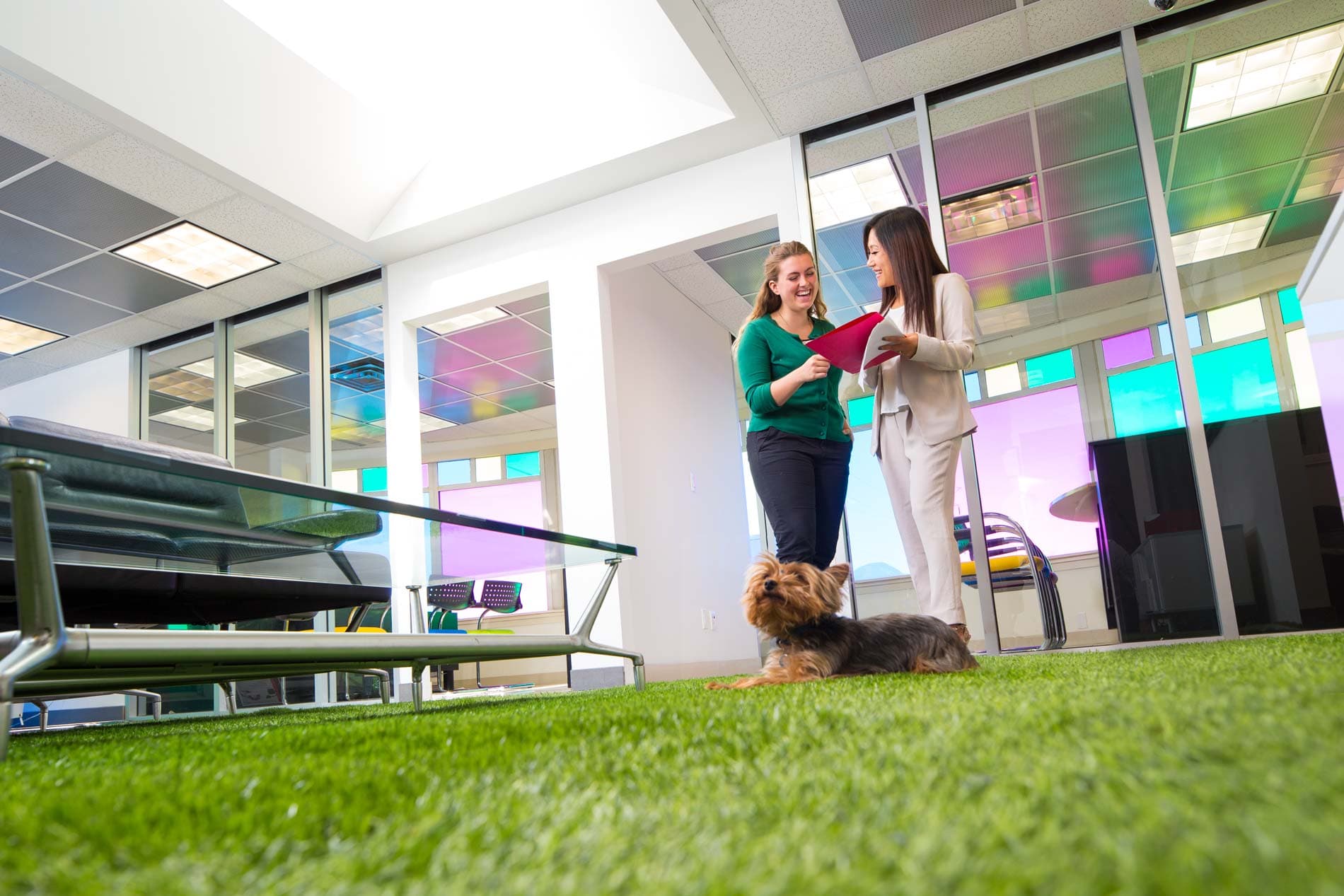Company of Cars staff at the Vancouver office